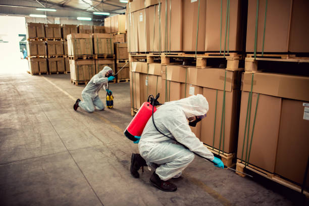 Reliable Norwalk, IA Pest Control Solutions