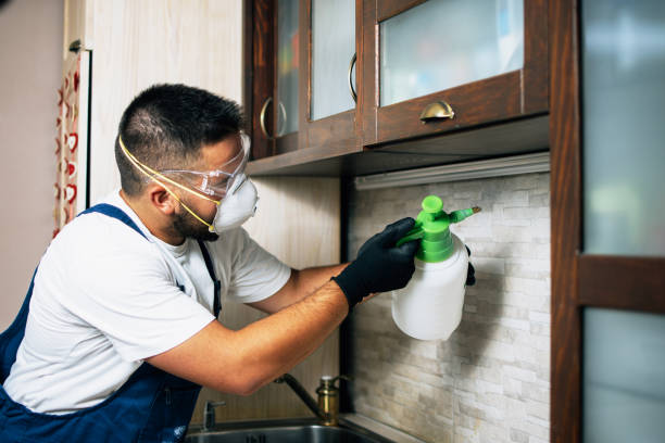 Trusted Norwalk, IA Pest Control Experts