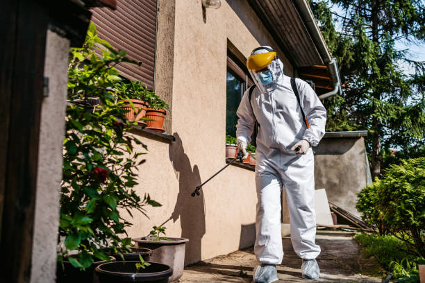Best Wasp Removal Services  in Norwalk, IA