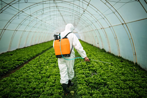 Pest Control for Restaurants in Norwalk, IA