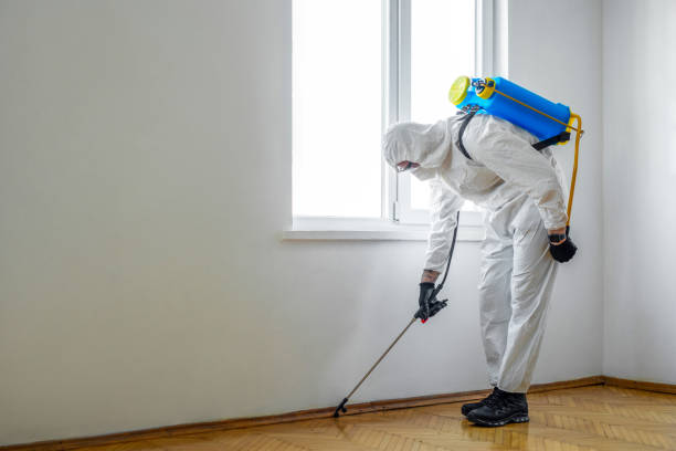 Best Pest Control Treatment  in Norwalk, IA