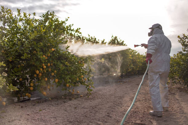 Best Emergency Pest Control  in Norwalk, IA